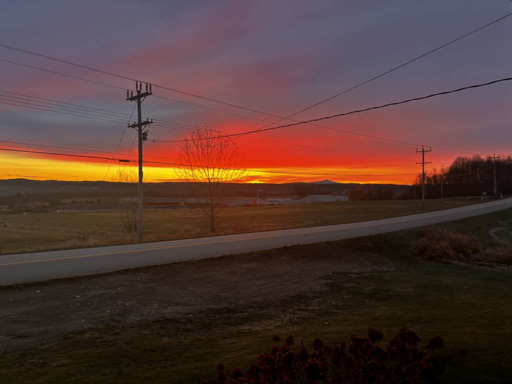 Landscape Collection  — image 9