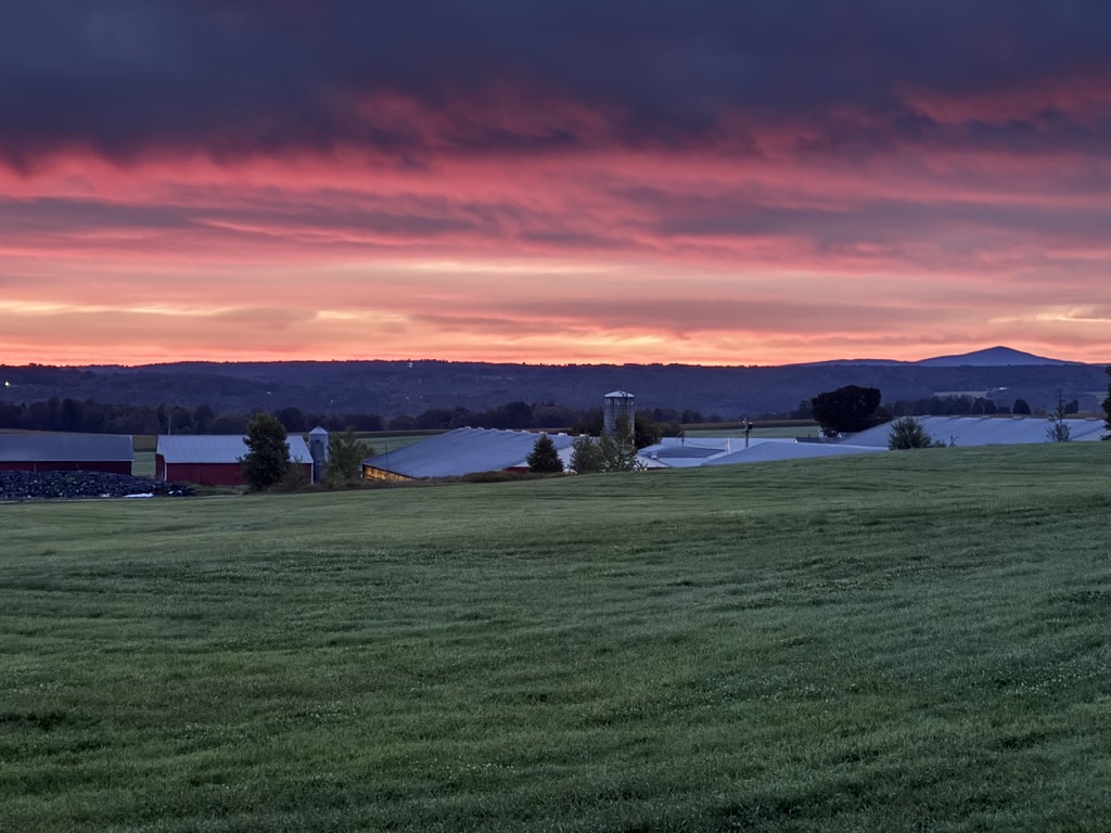 Landscape Collection  — image 5