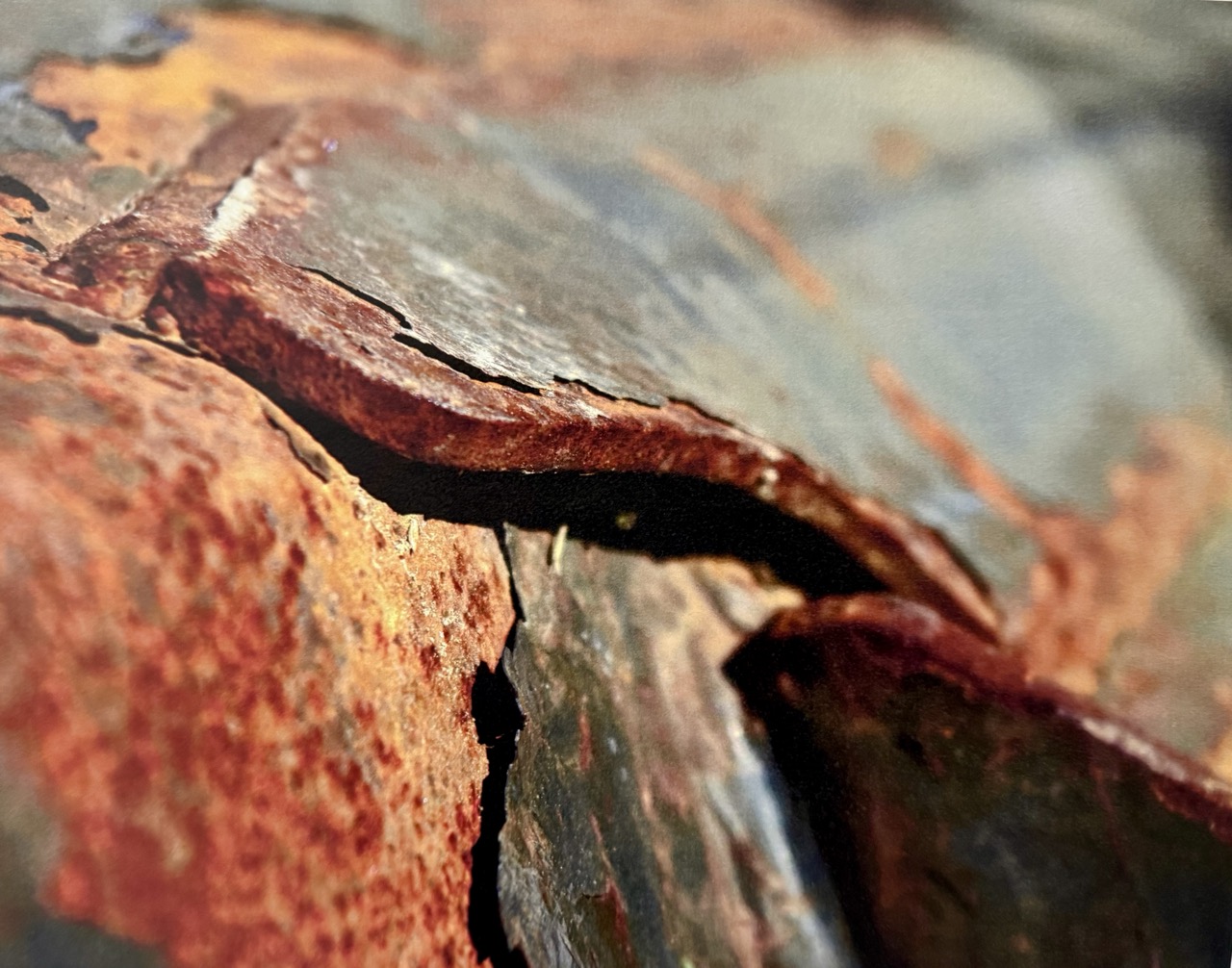 Rust
